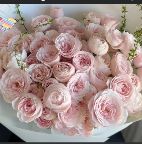 41 adet pembe gül buketi