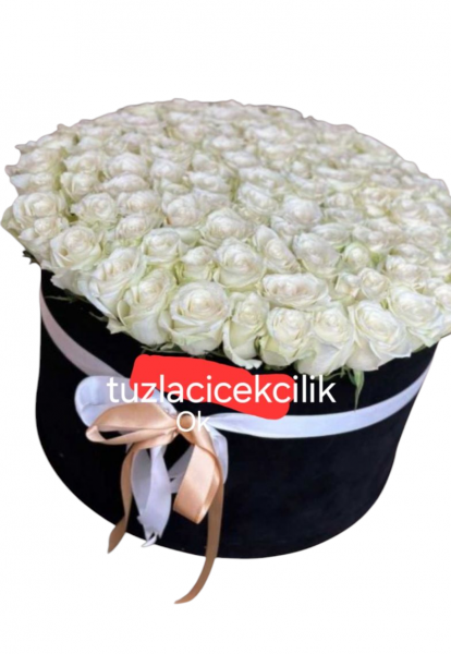 Kutuda gül